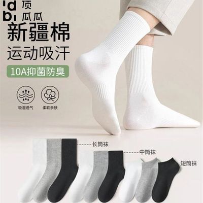 ڲϹ½޿Ůﶬڰгɫĥ͸ 8.7Ԫ