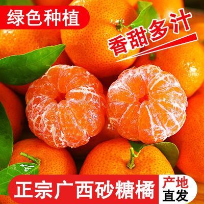 带箱5斤正宗广西砂糖橘新鲜当季水果沙糖桔橘子薄皮无籽蜜桔整箱