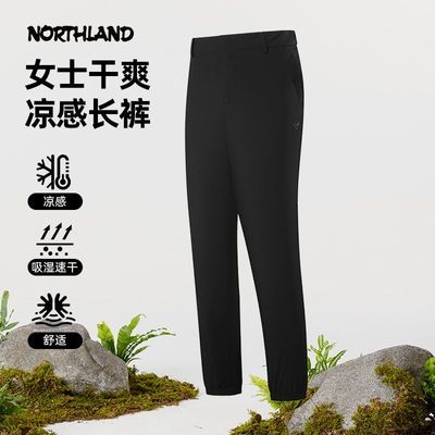 ڲ̳ͬŵʫٸɿŮļɽˮгNCPFT2333S 249Ԫ