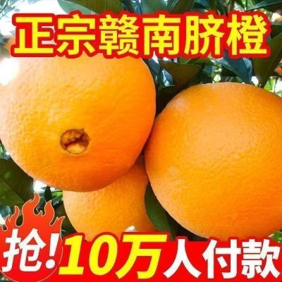 新鲜当季橙子新鲜水果酸甜可口5斤/10斤包邮【多仓发货】