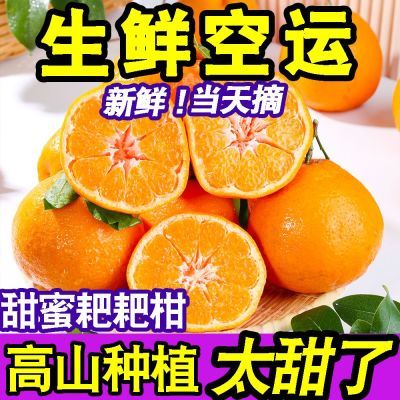 【甜蜜好吃】四川丑橘耙耙柑正宗春见粑粑柑橘子新鲜应季水果桔子