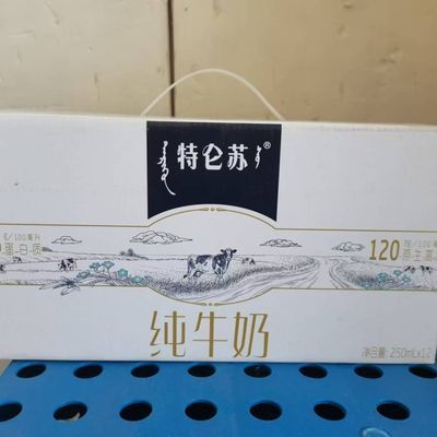 整箱蒙牛特仑苏250ml2盒8月份日期