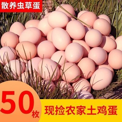 正宗农家散养土鸡蛋现捡现发新鲜土鸡蛋新鲜鸡蛋鸡蛋大个新鲜鸡蛋