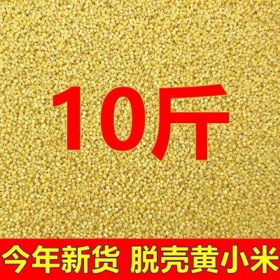 10斤黄小米虎皮鹦鹉鸟食牡丹玄凤脱壳黄谷子小米子蛋小米原料鸟粮