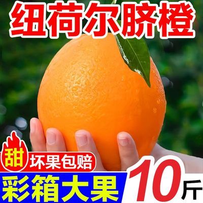 彩箱礼盒正宗秭归纽荷尔脐橙冰糖橙果冻橙柑橘非赣南桔子整箱包邮