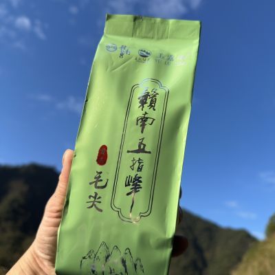 2025赣南五指峰毛尖茶上犹毛尖茶上犹绿茶江西茶叶遂川汤湖狗牯脑