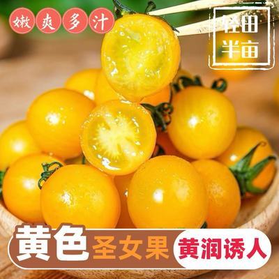 ���ڲ�����˳������ɽ����ɫС������������������ժ����ˮ��ǧ��ʥŮ������ 23.9Ԫ