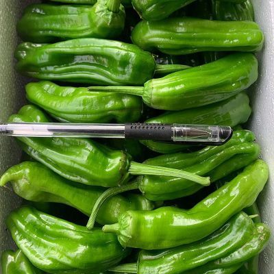 新鲜薄皮青椒辣椒芜湖蔬菜农家自种不辣微辣现摘产地虎皮直发现