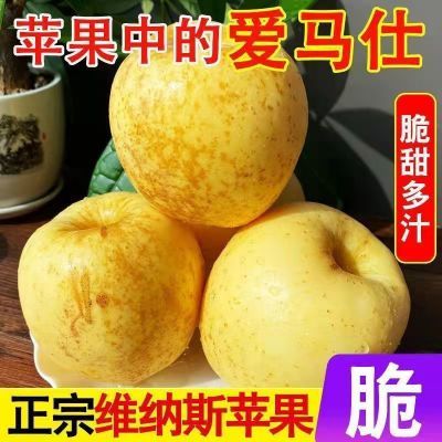 山东正宗维纳斯雀斑苹果黄金脆甜水果新鲜水果苹果当季批发