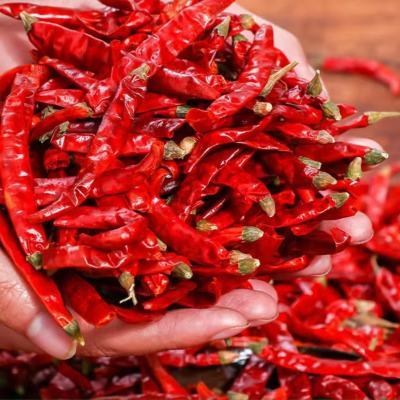 干辣椒香辣小米辣椒魔鬼椒微辣红干辣椒段不辣朝天椒批发