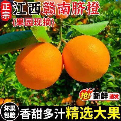 正宗江西赣南脐橙应当季水果新鲜多汁橙子手剥甜橙原产地-安然