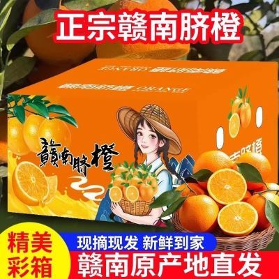 【彩箱5斤】正宗赣南脐橙江西赣州当季橙子产地新鲜直发水果整箱