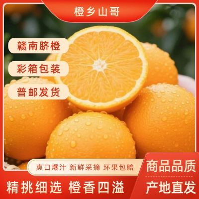 【正宗】赣南脐橙大果新鲜时令应季甜橙现摘水果净重5斤/8斤整箱
