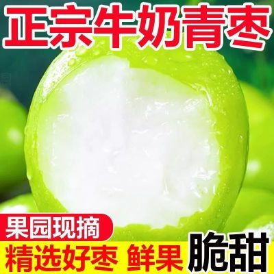【净重5斤】正宗牛奶大青枣脆甜新鲜应季水果现摘枣子苹果枣贵妃