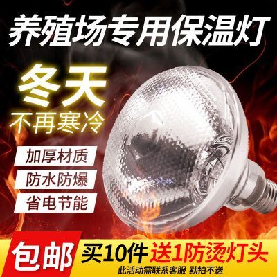 ���ڲ����������µ���ֳȡů����ֳ��ר���������ȵ�������С��ȡů������ 5.17Ԫ