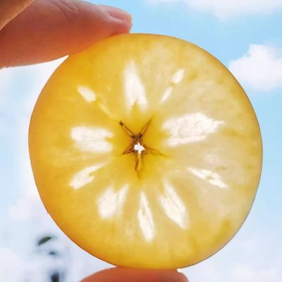 【2025现摘】爆甜丑苹果正宗高山红富士新鲜水果冰糖心一整箱批发