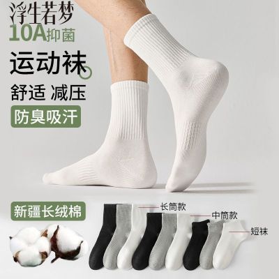 ���ڲ������½���10A������ʪ�ź�����������Ů�ļ��Ͳ�ിɫ����͸���� 10.9Ԫ