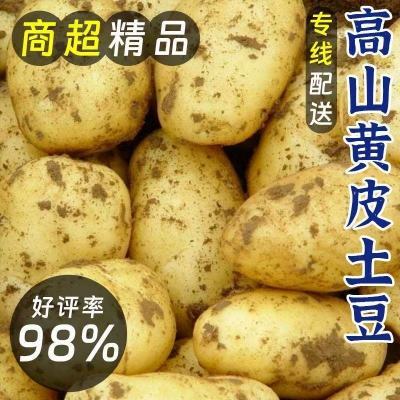 【今年新货】农家土豆新鲜黄皮土豆批发蔬菜整箱马铃薯正宗芋头