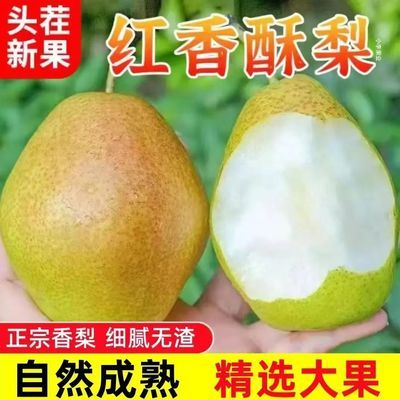 批发红香酥梨正宗香梨新鲜应季水果当季特级梨子香酥整箱薄皮10