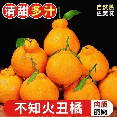 【精品橘子】四川丑橘丑八怪不知当季新鲜水果正宗橘子薄皮整箱桔