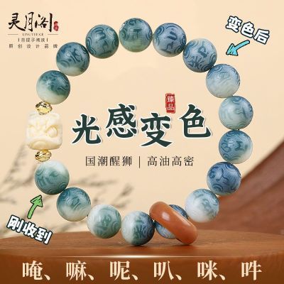 ڲ¸ɫִѧָӷ 11.6Ԫ