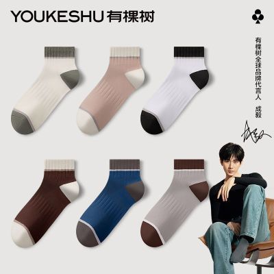 ڲ͸ƽšп10Aʿƴɫﶬߵʹ 39.9Ԫ