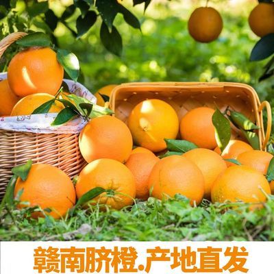 江西正宗赣南脐橙子赣州大果10当季甜橙现摘新鲜赣州脐橙产地直发