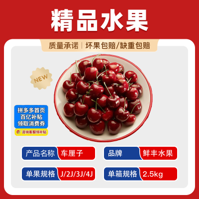 鲜丰水果现货净重5斤智利进口车厘子1J-4J新鲜原箱礼盒装顺丰包邮