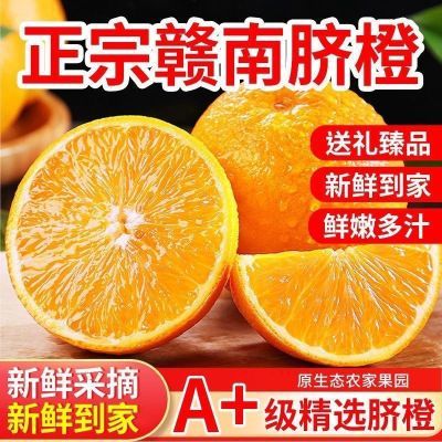 赣南脐橙当季水果新鲜甜橙爆甜橙子多汁脐橙果冻批发整箱多仓发货