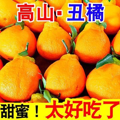 爆甜超好吃】四川丑橘耙耙柑春见粑粑柑当季新鲜水果桔子薄皮橘子