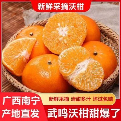 【武鸣直发】广西正宗武鸣沃柑新鲜采摘酸甜当季整箱彩箱