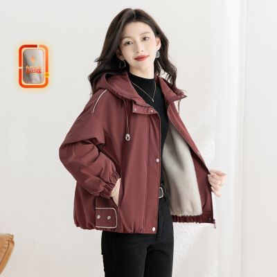 ���ڲ�����˿����2025��װ�¿�Ůװͨ�����ʶ̿��������ɿ�������ñ���� 258Ԫ