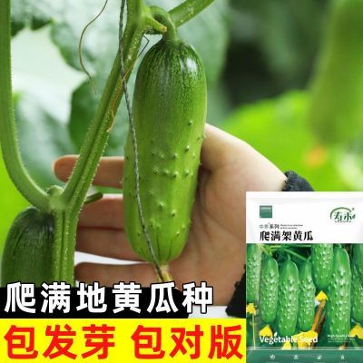 ���ڲ����������ܻƹ����Ӵ�ȫ��Ʒ��ˮ���ƹ������Ϸ������߲������ļ���� 5.88Ԫ