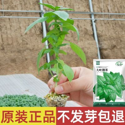 ���ڲ������������Ӵ�Ҷ�����ļ����������̨�������ֺ����߲����Ѵ������� 7.54Ԫ