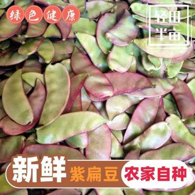 ���ڲ��������侫Ʒ�㶫�����ϱⶹũ�ҵ�������ܿ����ժ�����߲�����1���� 11.99Ԫ