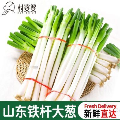 ���ڲ���������������18��ɽ�����˴�����ʼ�������ũ���߲˳���С��� 37.3Ԫ