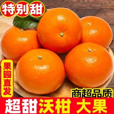 限时直降5/10斤大果正宗广西武鸣沃柑应季新鲜水果桔子橘子整直发