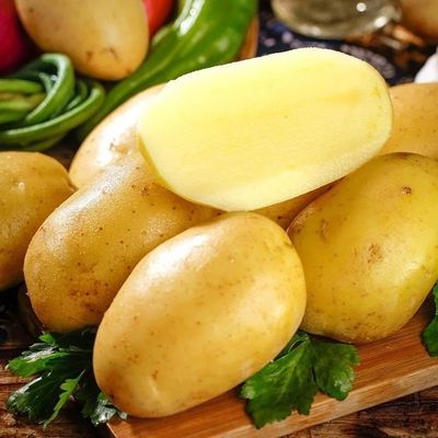 甘肃定西0脂肪2025土豆黄皮新鲜农家蔬菜整箱洋芋黄心马铃薯正宗