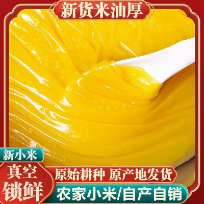 当季新米羊粪种植正宗陕西黄小米陕北农家现碾米油脂小米新鲜杂粮优惠商品图片