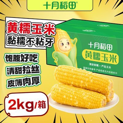 ���ڲ�����ʮ�µ����Ŵ2kg��֬���״������10�������������������հ�װ 30.2Ԫ