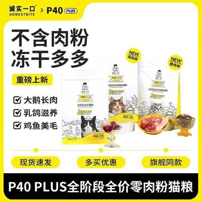 ���ڲ�����������������ʵһ��P40 PLUS������ʼ�������춳�ɳ�è�� 65.5Ԫ