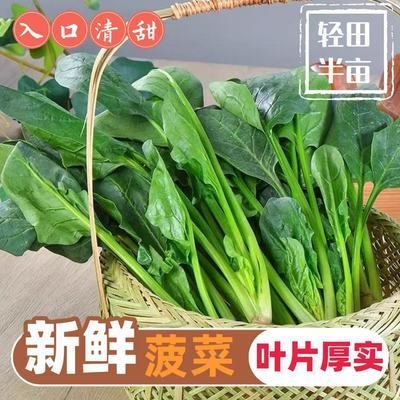 ���ڲ�����˳��ɽ�����ʲ�����ժũ��������ɫ������һ�����߲�����2���� 17.89Ԫ