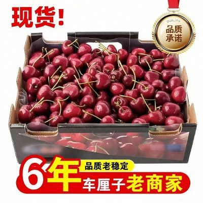 ���ڲ�������������ר�����������ڳ�����5��ԭ�����ӣ��ˮ���������� 149.5Ԫ