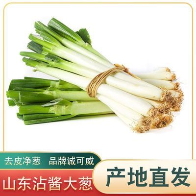 ���ڲ�����������ɽ������С�ɽ�����ʴ����Ʒմ����ʳɽ�����ȥƤ��Ҷ 6.99Ԫ