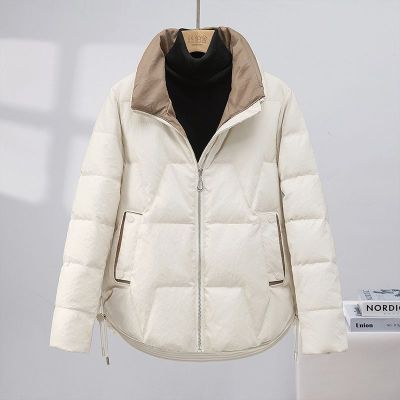 ���ڲ�����˿����2025��װ�¿�Ůʿʱ�м�Լ��ů�̿�����ײɫ90�����޷� 378Ԫ