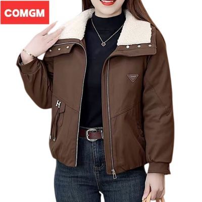 ���ڲ�����COMGM���޼Ӻ������ɿ˷�����2025���������ٴ����ݷ���п����� 229Ԫ