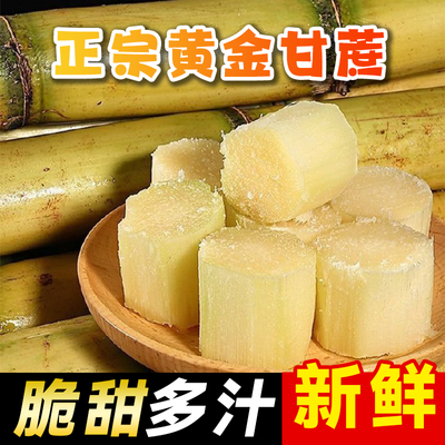 正宗云南高山甘蔗直发新鲜水果脆甜多汁现砍现发清脆青皮黄皮当季