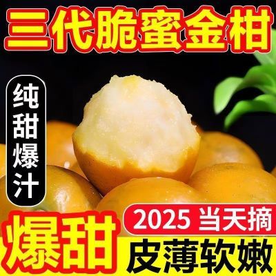 正宗脆蜜金柑第三代纯甜脆蜜金柑新鲜应季水果现摘融安脆蜜金桔王