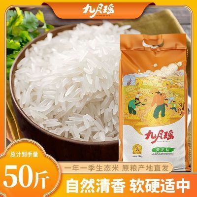 ���ڲ�����[������]�ƻ�ճ25kg�����ʴ���50����������˿�������з�è����ճ�� 104.9Ԫ