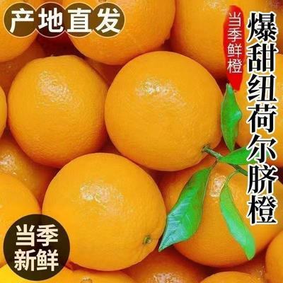 果园直发】正宗秭归纽荷尔脐橙应季水果超甜整箱批发薄皮甜橙冰糖